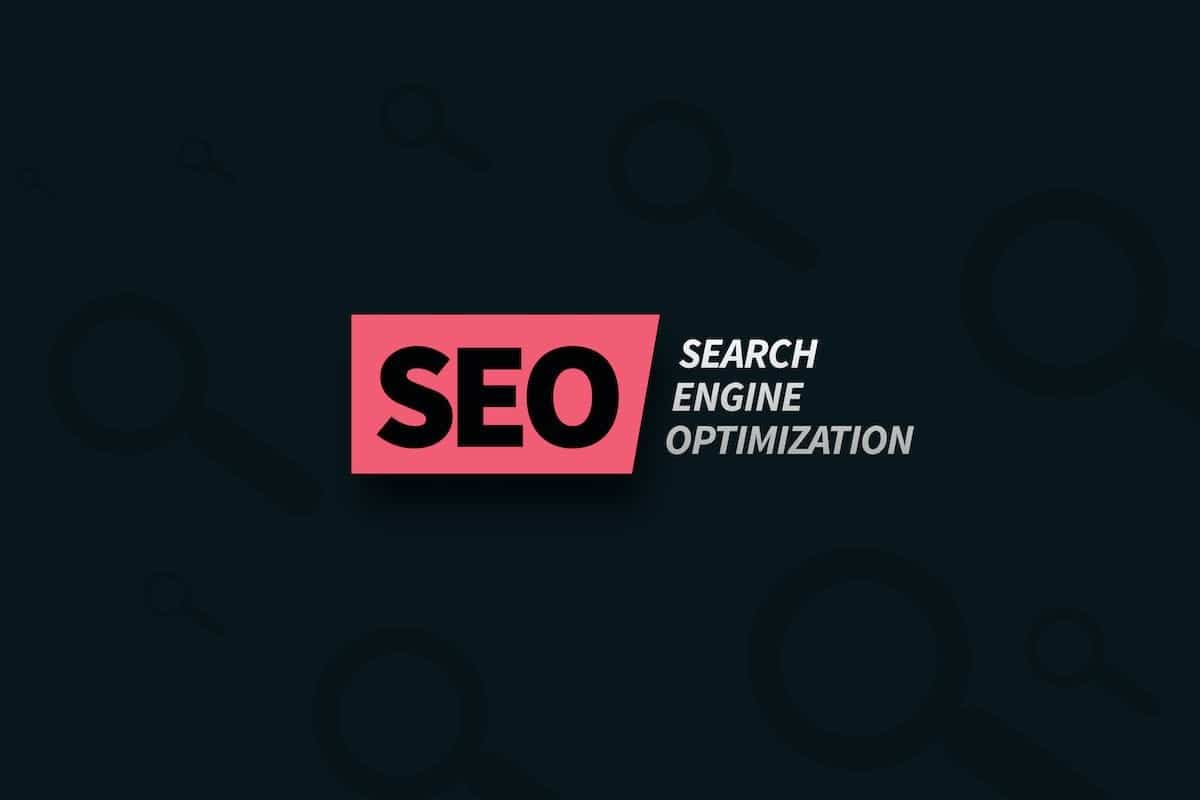 seo  novice