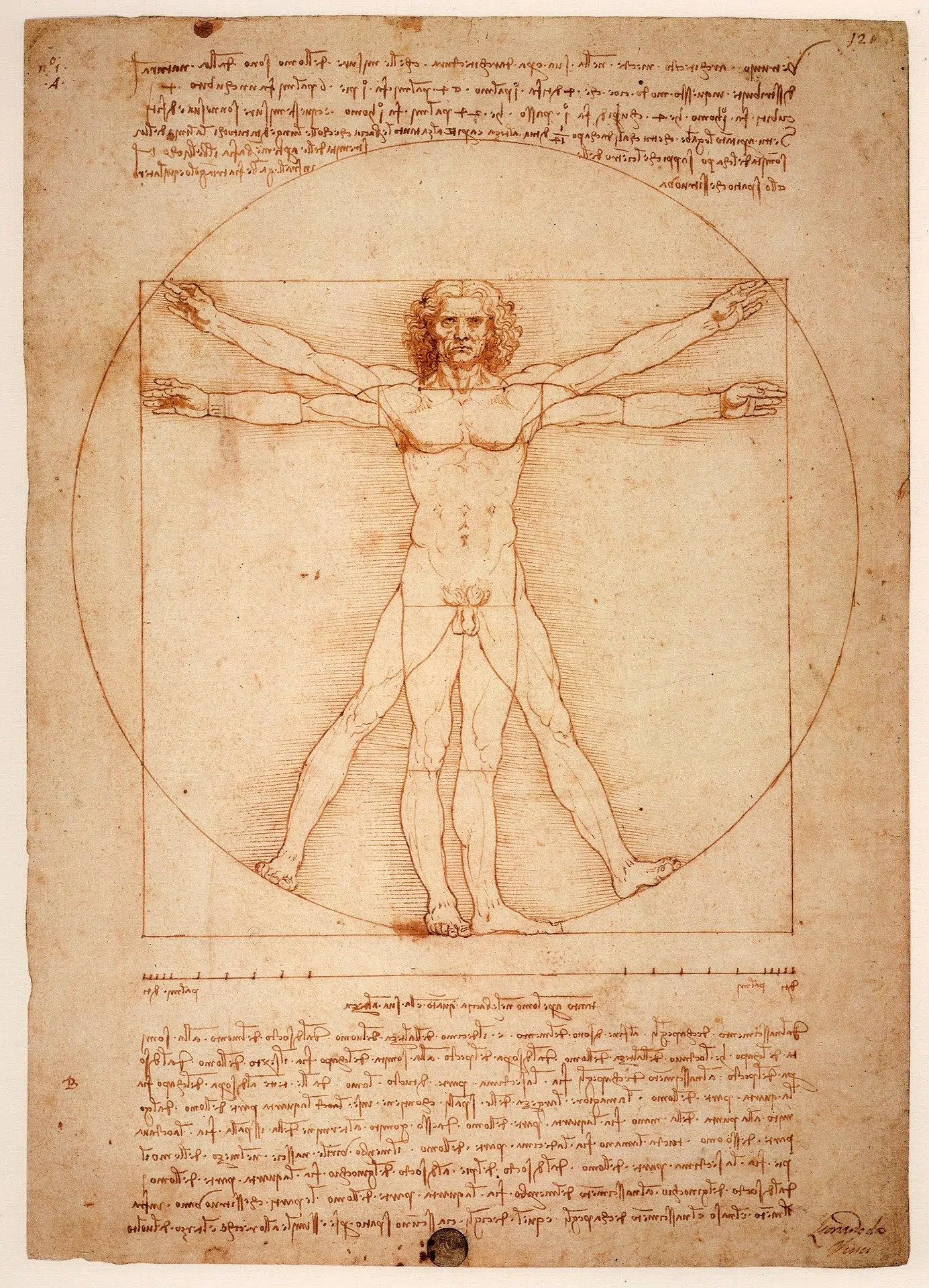 Qui est Léonard de Vinci ?