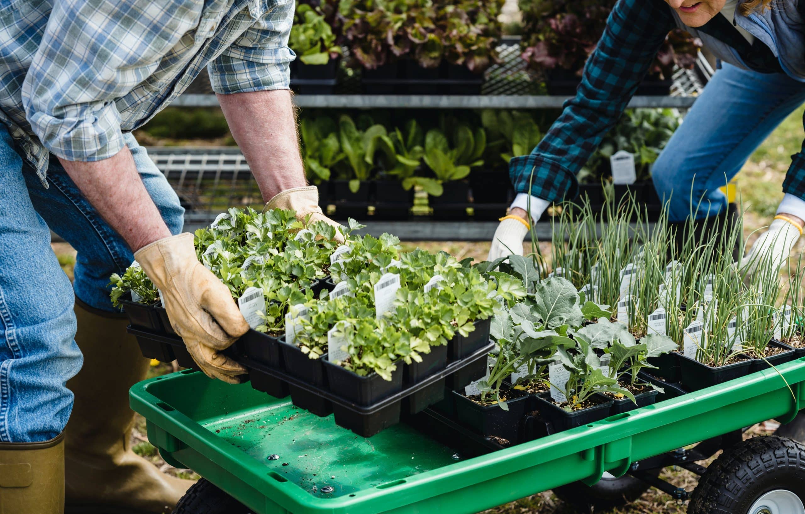 Comment créer une entreprise de vente de produits agricoles en ligne ?